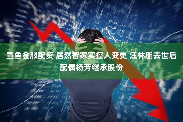 宣鱼金服配资 居然智家实控人变更 汪林朋去世后配偶杨芳继承股份